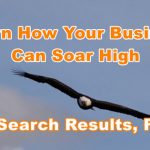 Learn how your business can soar high in search results, fast